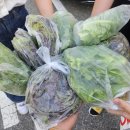 얼매곶 네이버블로그