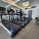 인제한의원 | 30~40대 여성 하체 운동, 효과가 없었다면?(제주시헬스장/PT)