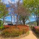 연조공원 이미지