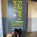 망고의 간식창고 이미지