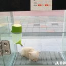 대상인력남문