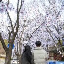 용산-107 이미지