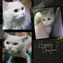 짱구와 동팔이 이미지