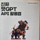 진짜 챗GPT API 활용법 - 김준성 외 지음 이미지