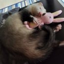 보성빌라 이미지