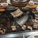 갈릴리농장 이미지