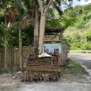 삼보카에어컨 | 세부 삼보안 판타지롯지 가는법 (디럭스 스위트 후기+카와배쓰, 조식, 수영장, 프라이빗비치 스노클링)