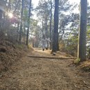 지현이네 이미지