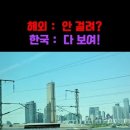 오늘의 말씀 - 시69:11) ; 내가 또한 굵은베를 내 옷으로 삼았더니 내가 그들에게 속담거리가 되었나이다. 이미지