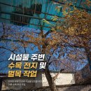 양평수목 | 시설물 주변 위험 수목 벌목 작업 현장 후기