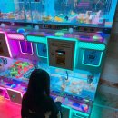 지평선당구장 | 강원도 가족여행 숙소 양양 쏠비치 이규제큐티브 스탠다드 패밀리 트윈객실 후기 / 양양 쏠비치 일출