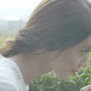 예플란트치과 네이버블로그