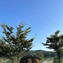 소금강마을에코센터 오토캠핑장 이미지