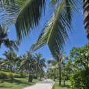 남부-5(푸른솔약국 앞) | 베트남 자유여행 | 나트랑 알마 리조트 캄란 (Alma Resort Cam Ranh)