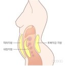 밥해주는총각 이미지