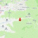 초원한우 이미지