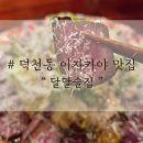 팡팡 | 덕천동술집 추천, 달달술집에서 하이볼·한우타다끼 먹고 반한 후기