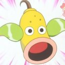 무지개체육관 이미지