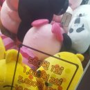 뽑기뽀끼 이미지