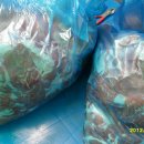 천사의축산 이미지