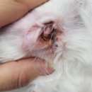 금성당약국 이미지