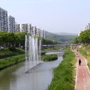 안산천동로 이미지