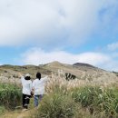 은빛축산