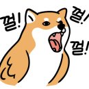 반올림피자상도점 이미지