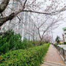 스마트폰 활용교실 이미지