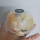 푸룻담 | 푸룻담 컵과일 후기 🍓