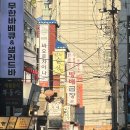 로스트인 사당 | 사당 방배 맛집 무난하게 먹기 좋은 방배곱창 솔직후기
