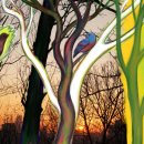 갤러리PC 이미지