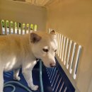 칠원지구대 이미지