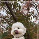 다우리유치원 이미지