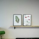 자연설렘 이미지