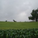 아침에풍경 이미지