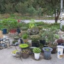 장미주유소 이미지