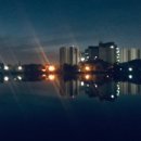 비히클프로 이미지