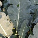 예림이네민박 이미지