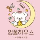 멍풀하우스 네이버블로그