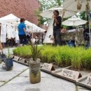 혜화농장 이미지