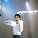 세인트복싱 이미지