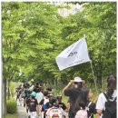 TL태권도 이미지