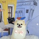 포미펫샵 이미지