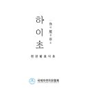 하이초등학교 이미지