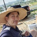 꼬기먹자