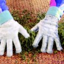 우종회관민박 이미지