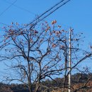 유금2리 이미지