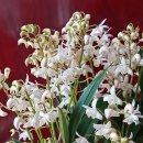 한아름홈쇼핑(주) 이미지