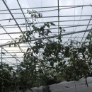 수환농장 이미지